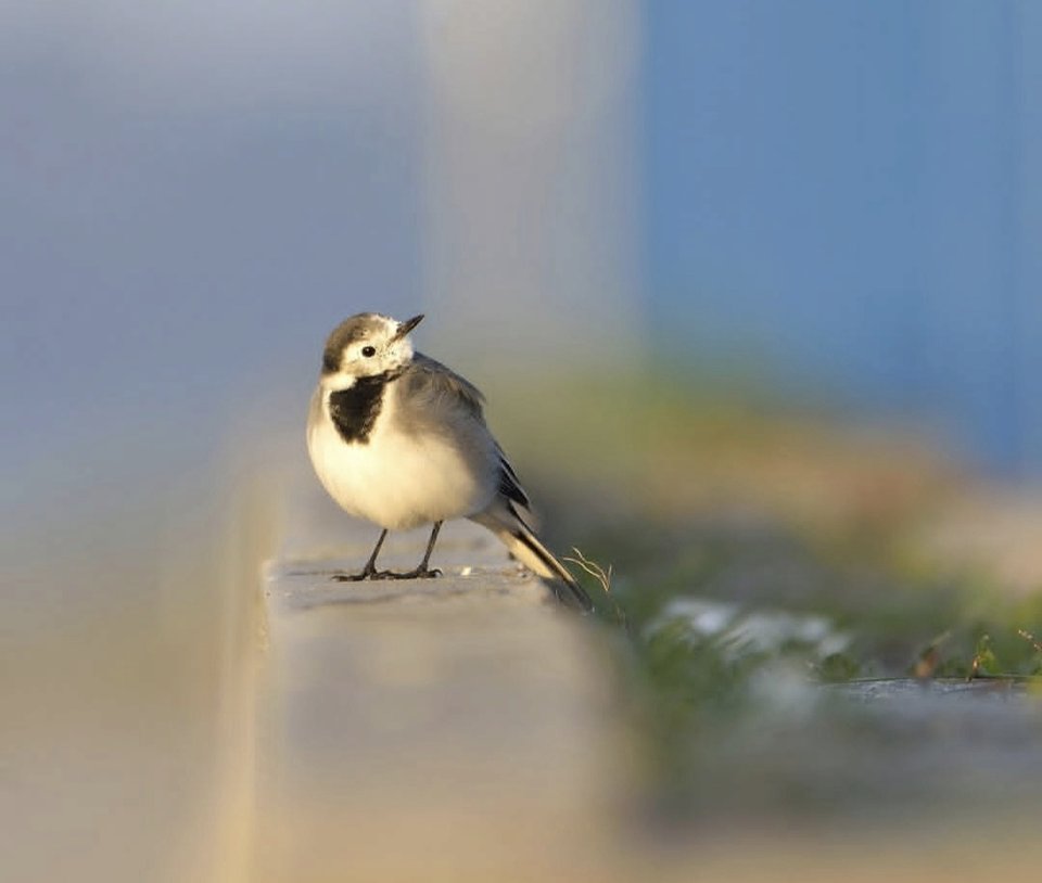 1000028910.jpg - TakijaCT