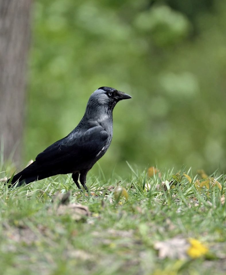 1000028904.jpg - TakijaCT