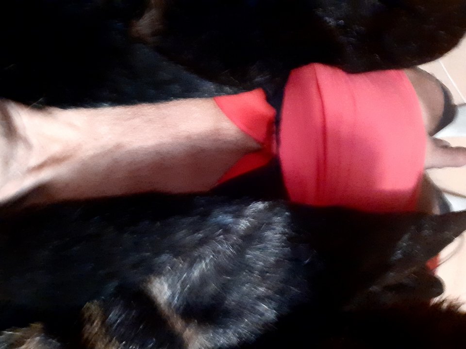 20260207_062704.jpg - Aktcrossdres