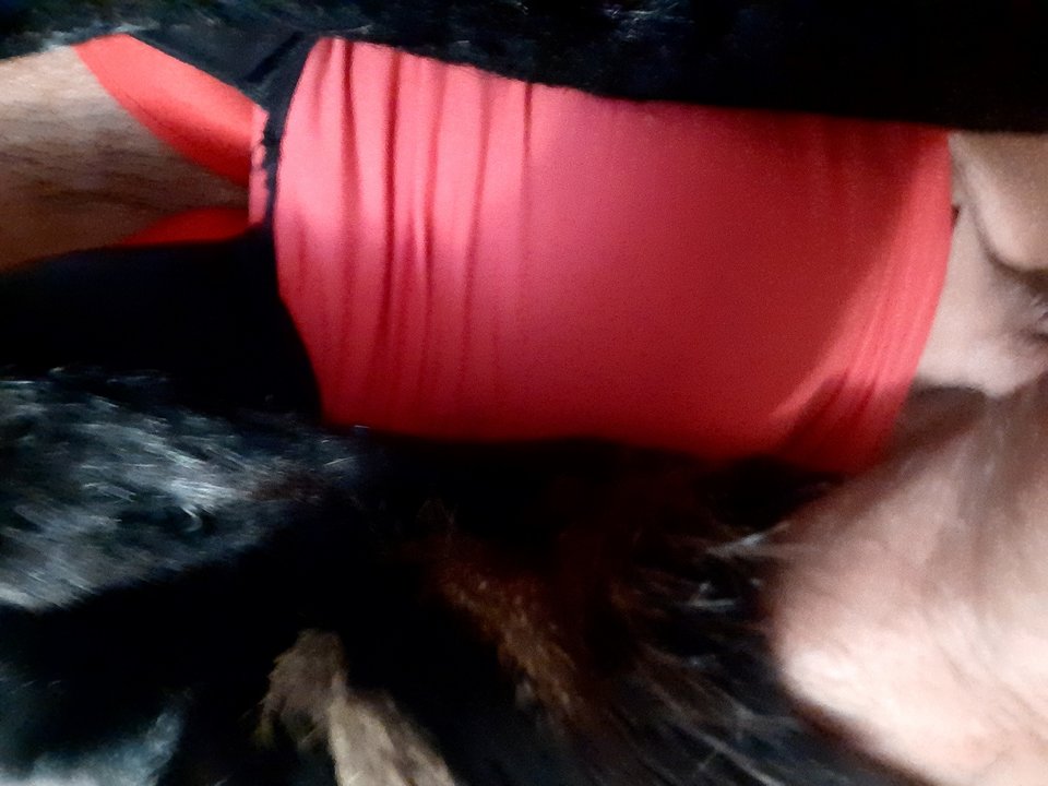 20260207_062904.jpg - Aktcrossdres