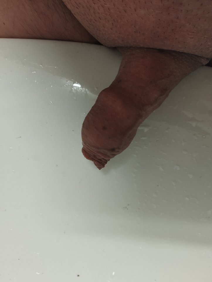 1000015007.jpg - ibisiatko