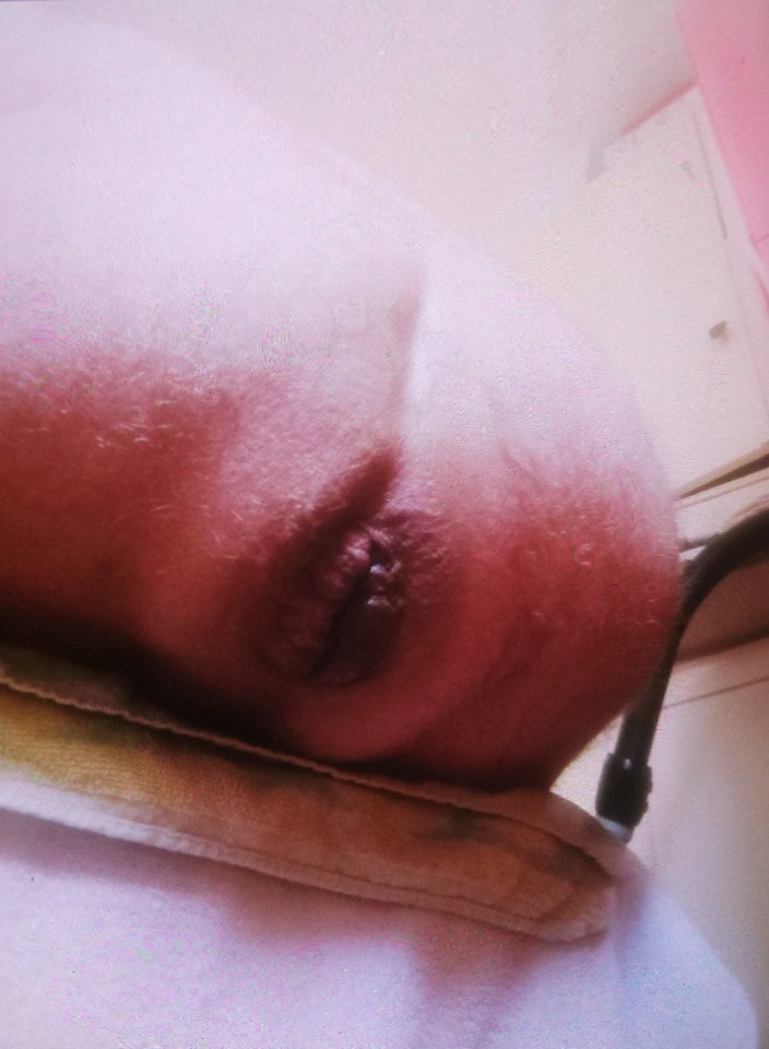 c76a7fae-f102-4fa2-816f-e6507b992efa-1_all_35312.jpg - BearPigChWwa