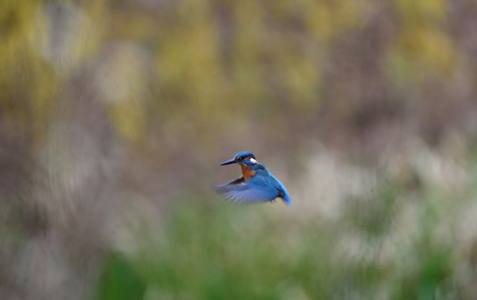 1000028995.jpg - TakijaCT