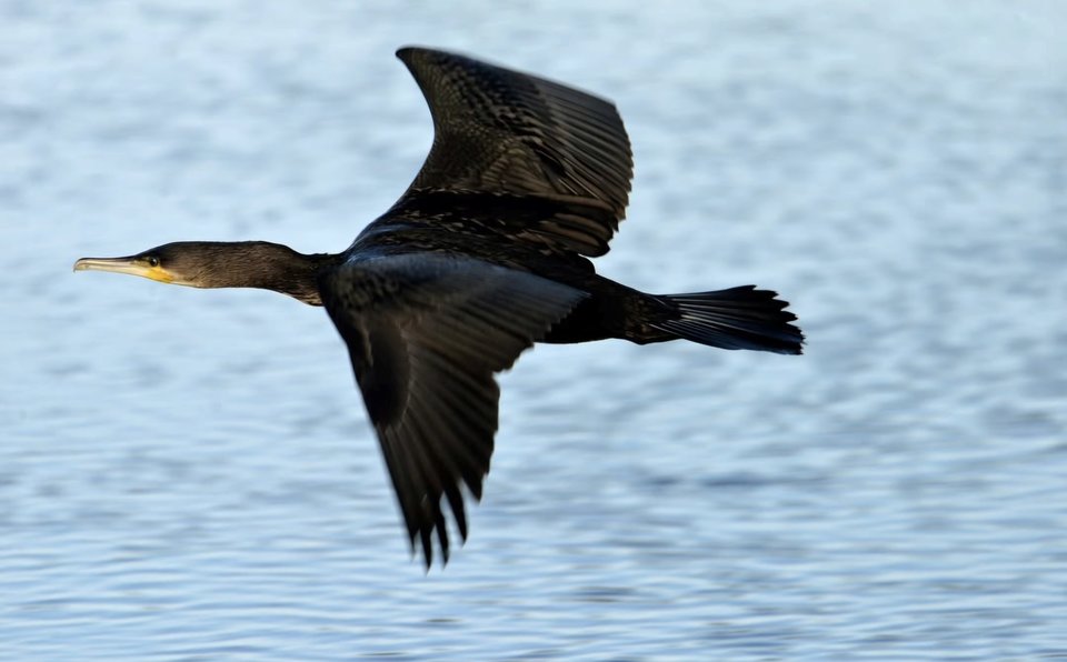 1000028989.jpg - TakijaCT