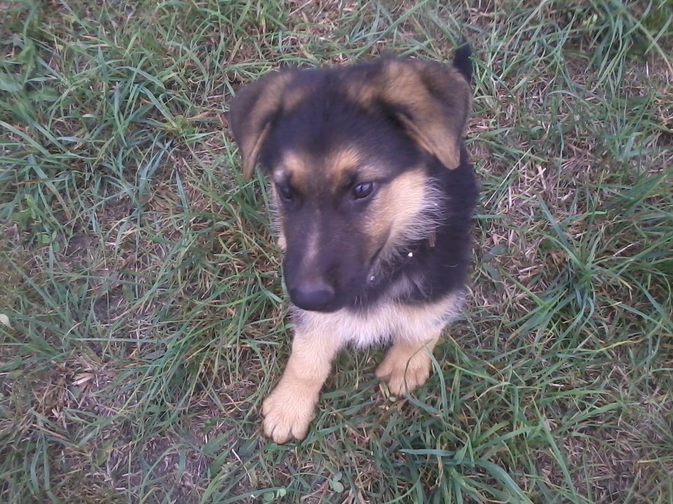 Zdjęcie0731.jpg - dumbum