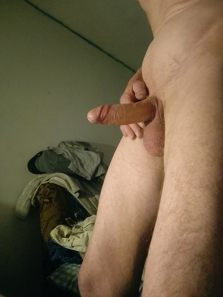 IMG_20260208_004624_634.jpg - Lubieznik50