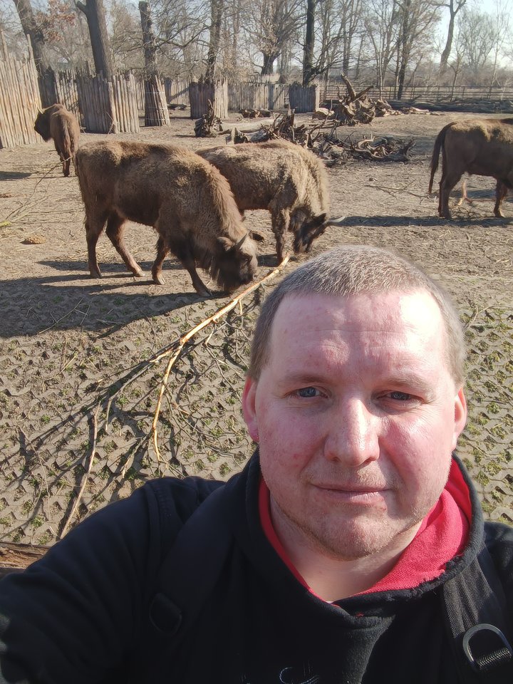 1743384069393.jpg - ruchaczzdbn