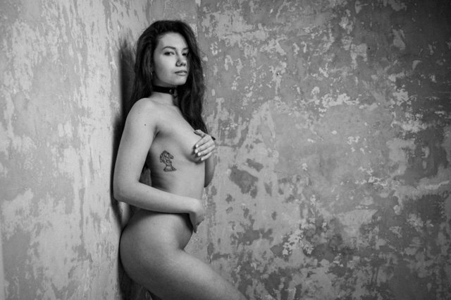 3cd50284ad813.jpg - Foto290220