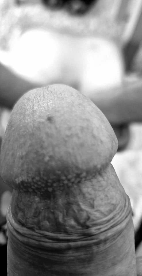 1000062252.jpg - chotdicky