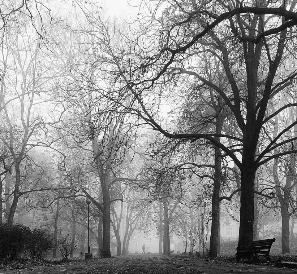 1000029317.jpg - TakijaCT