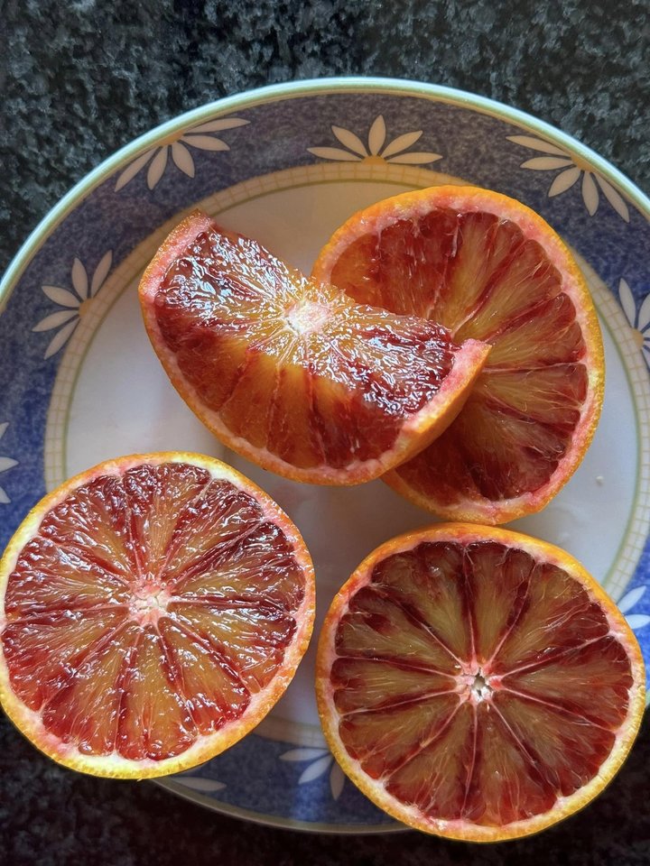 428605197_10227736386607625_9204928155969327667_n.jpg - Sicilia