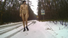 droga do Koloni Woźnickiej 20260208_1118.mp4_snapshot