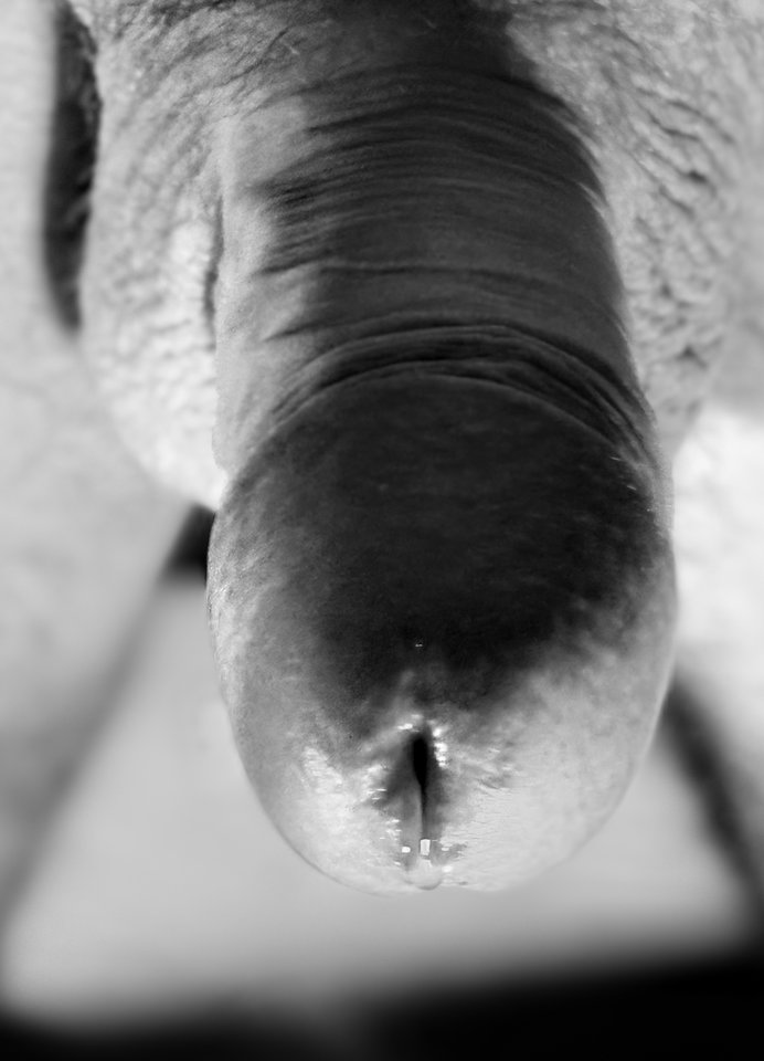 IMG_0479.jpeg - Piotr_Petr