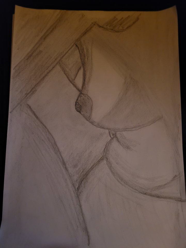 Beauty.jpg - Sebski15