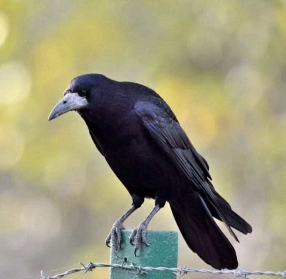 1000029331.jpg - TakijaCT