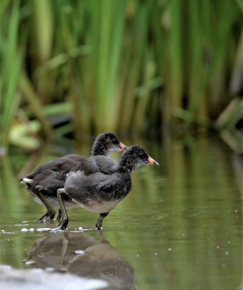 1000029323.jpg - TakijaCT