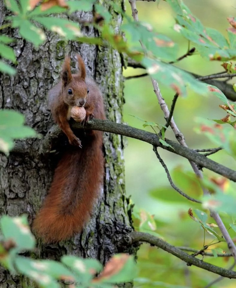 1000029333.jpg - TakijaCT