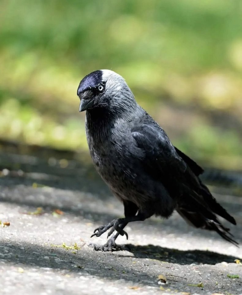 1000029335.jpg - TakijaCT