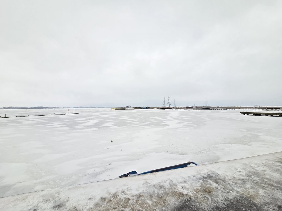 20260207_151112.jpg - onlegionowo39