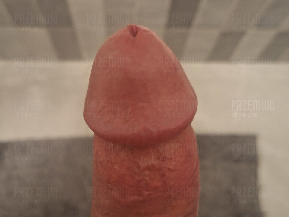 1000016806.jpg - PrzemWo