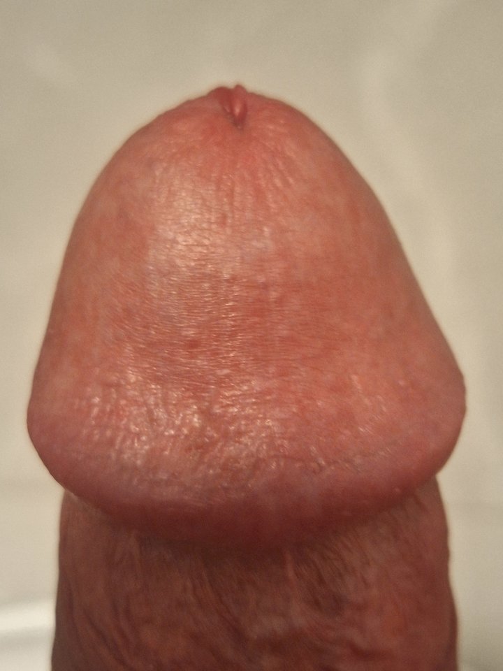 1000016808.jpg - PrzemWo