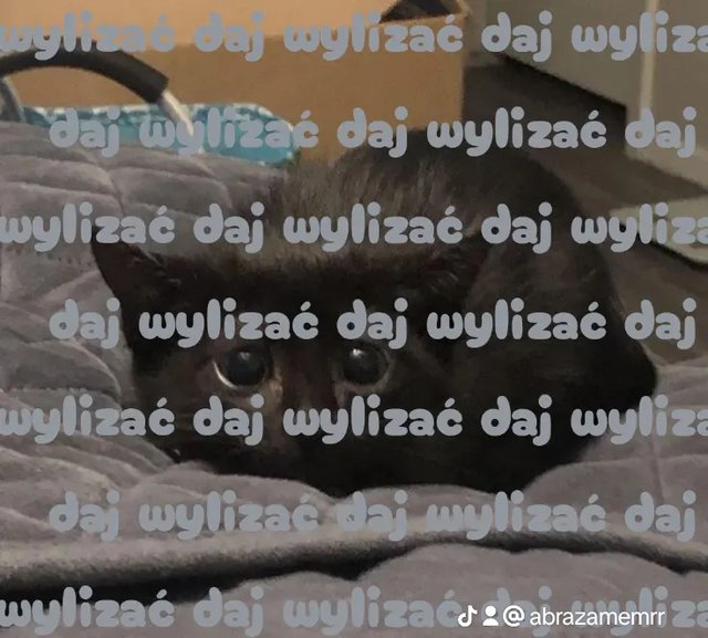 149fc940e43437d255ec8d9f2de80090_0.jpeg - DolcePragmaLubieWargi