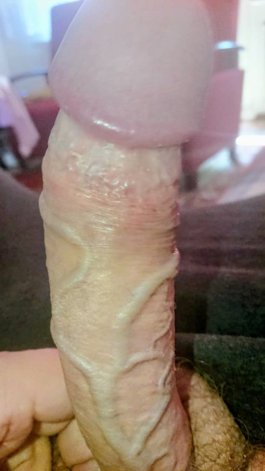 11713.jpg - Falcon96