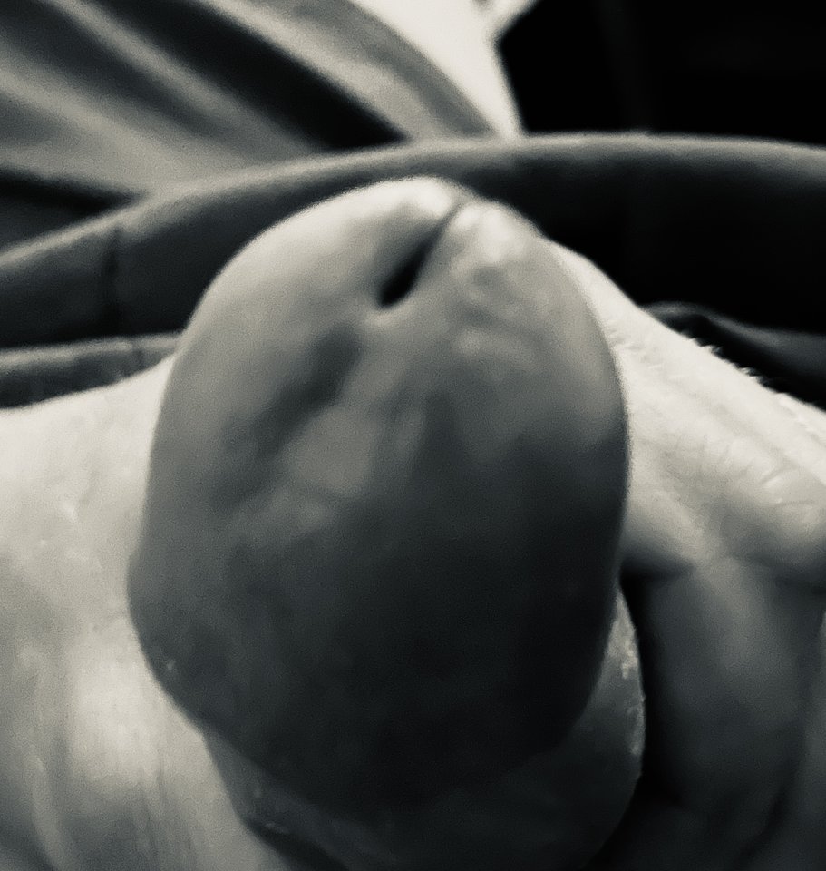 IMG_1078.jpeg - FranczeskoPaulo