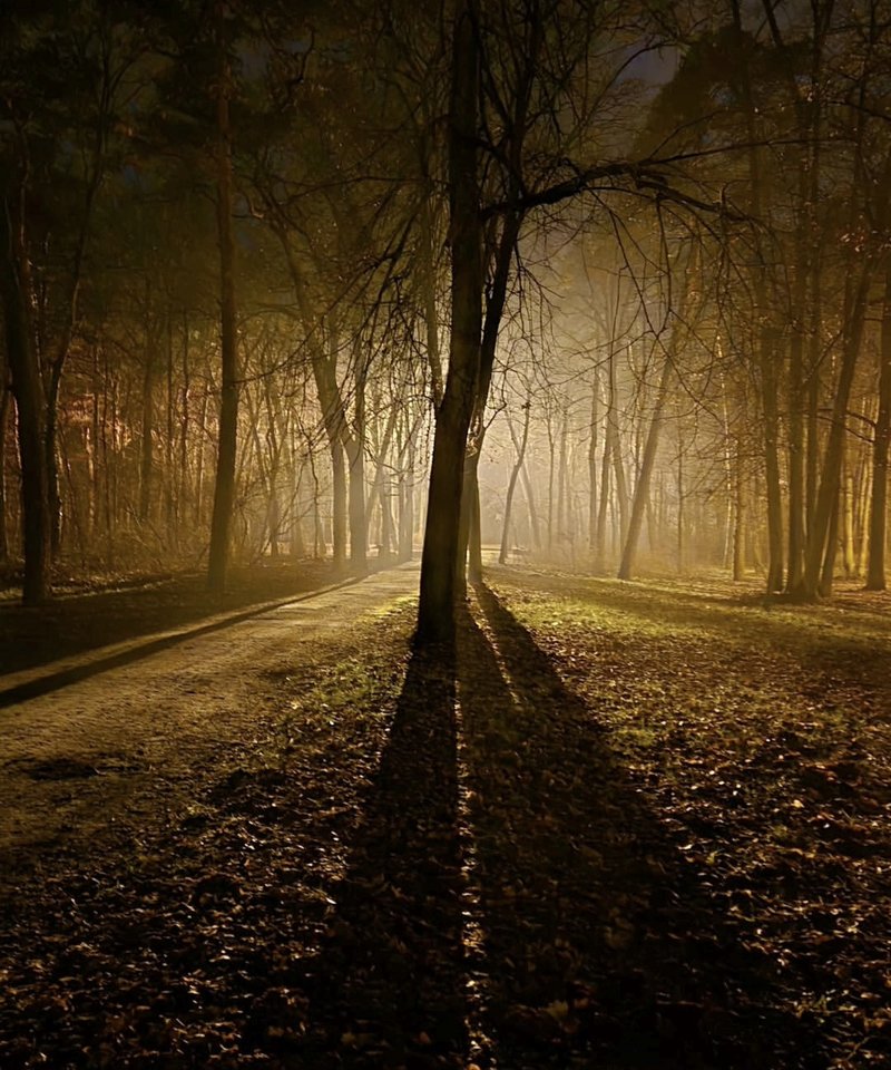 1000029345.jpg - TakijaCT