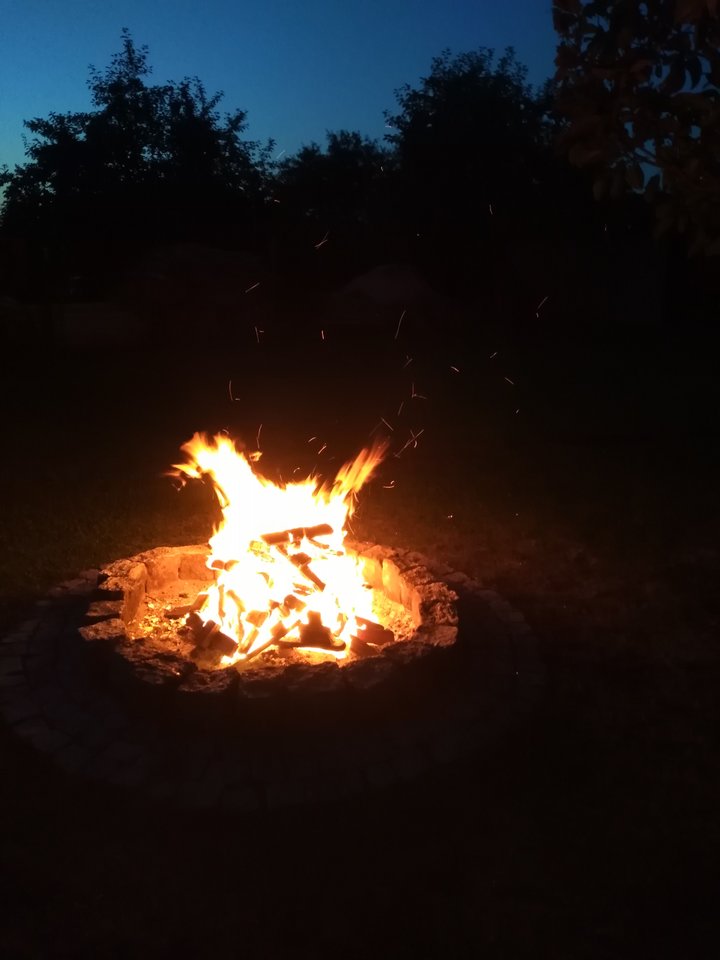 Koń 🐎?🔥🔥🔥 - MickyGD