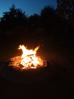 Koń 🐎?🔥🔥🔥