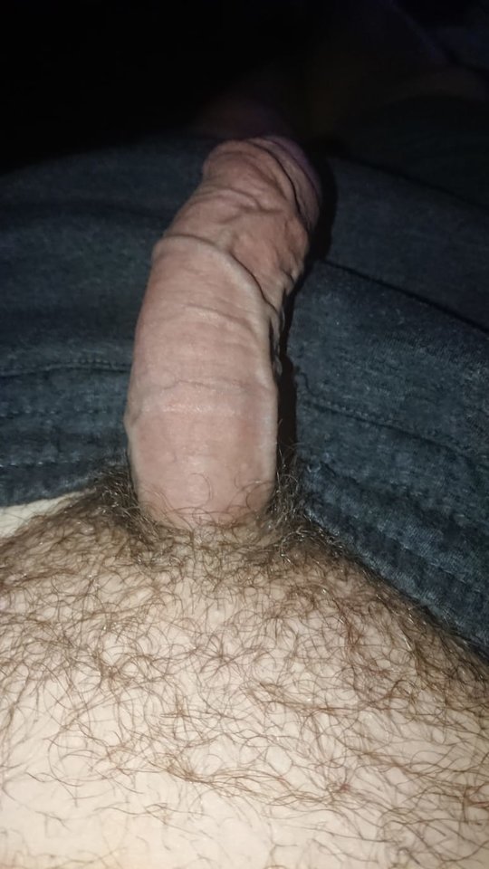 11779.jpg - Falcon96