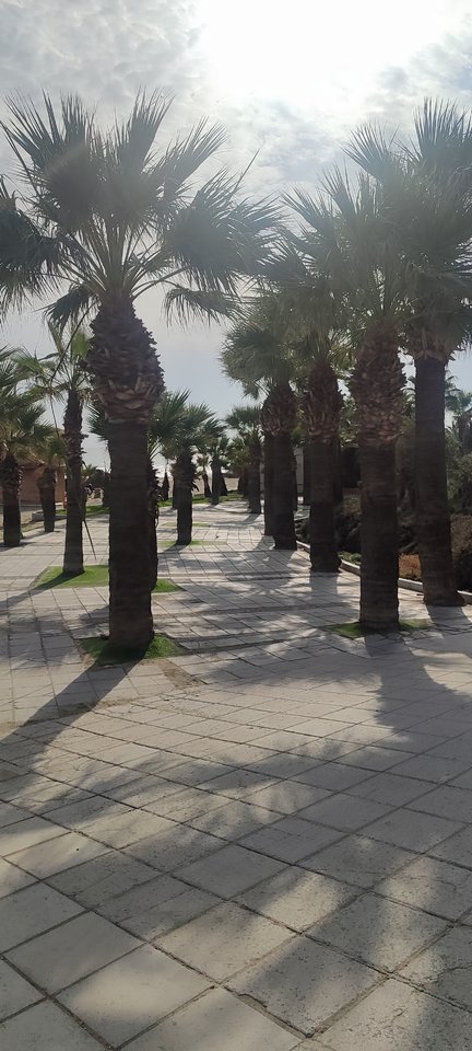 IMG_20260107_120716.jpg - Singiel44on