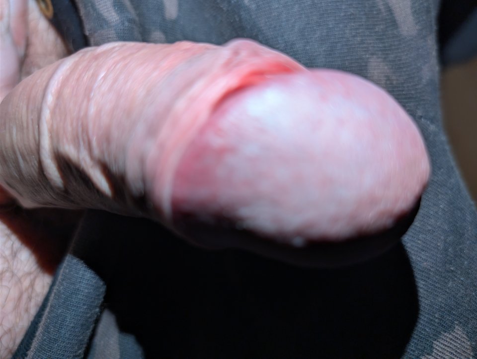 11820.jpg - Falcon96