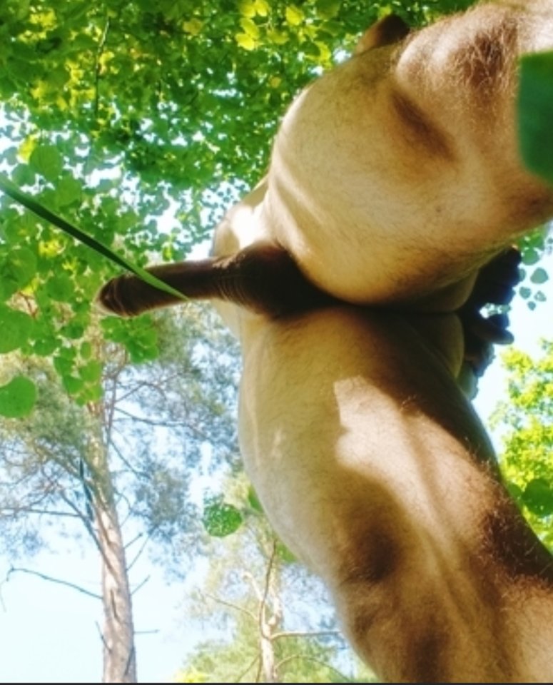 1000003791.jpg - Milozwami