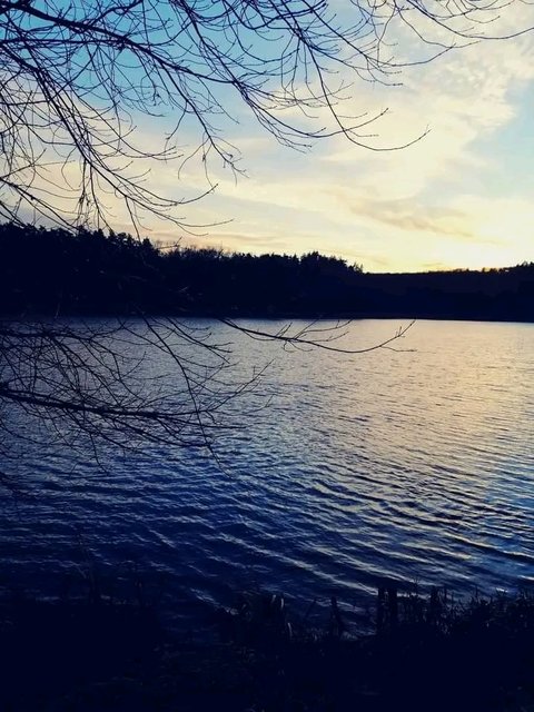 1749923339939.jpg - Nocture