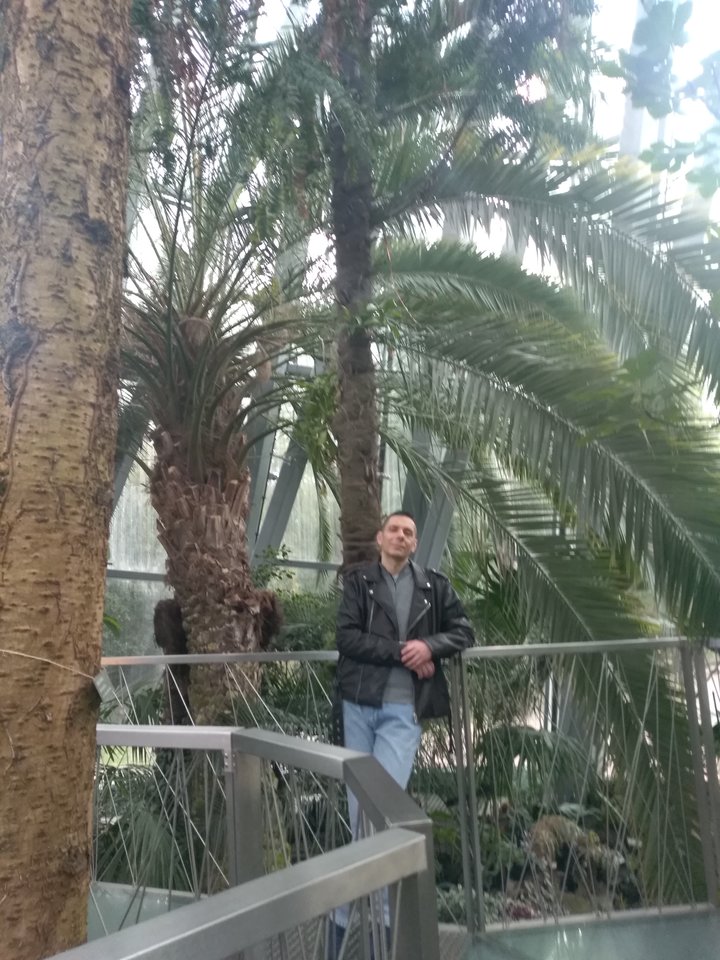 IMG_20240426_165039_110541.jpg - MickySopot