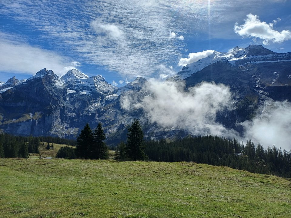 5976.jpg - Peregrin0