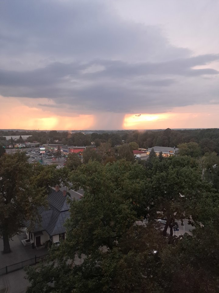 1000016708.jpg - kochas291982