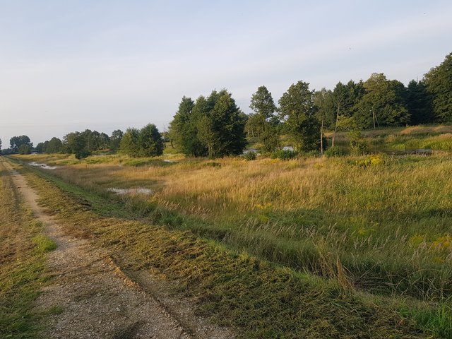 WTRAZH