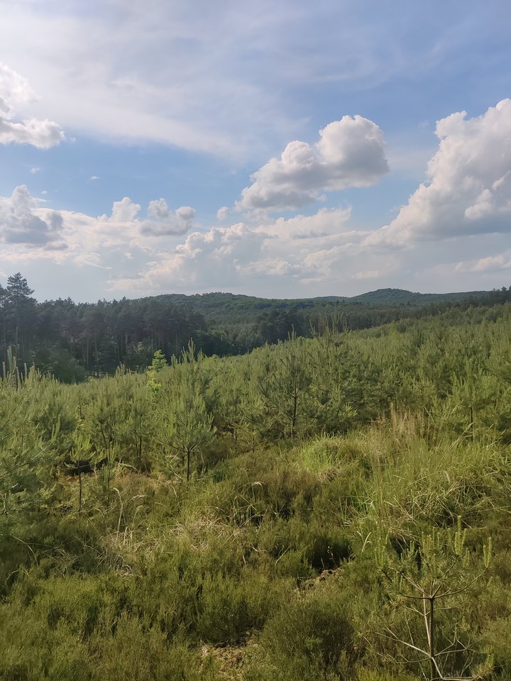 1000000800.jpg - WTRAZH