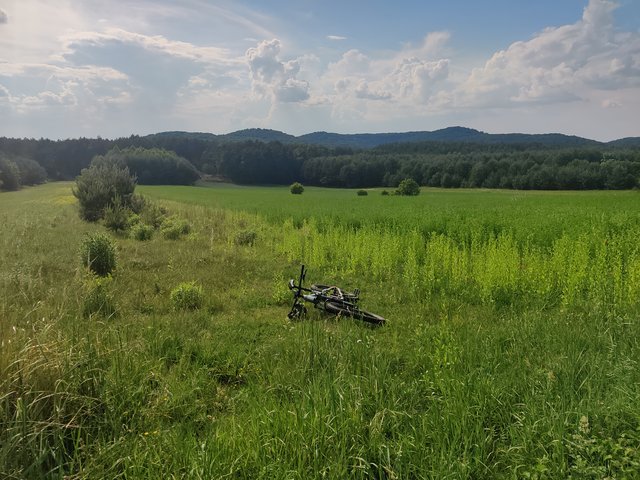 WTRAZH