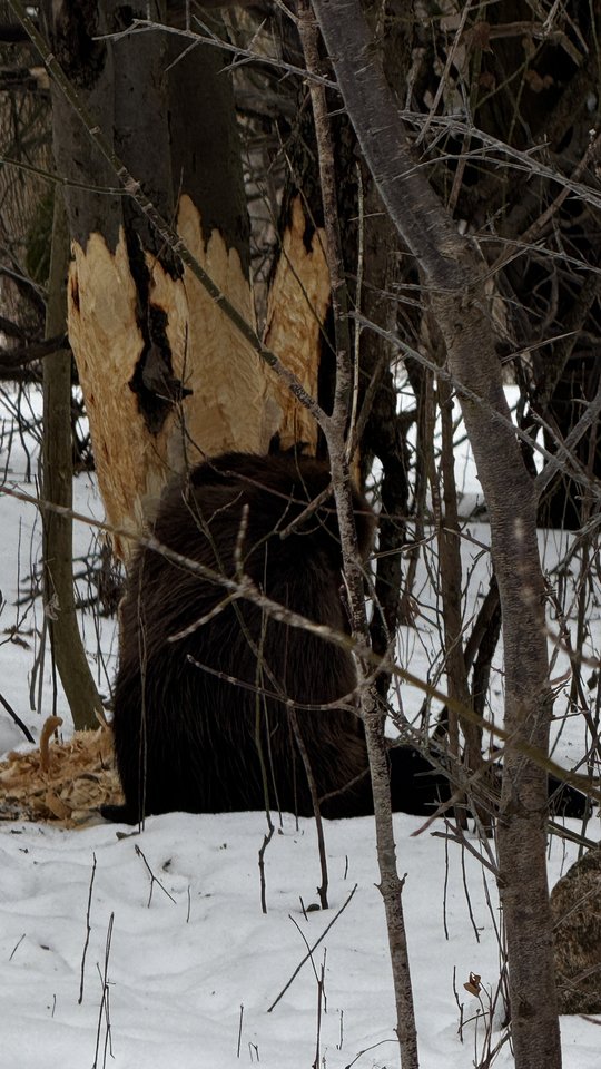 Źdzś..jpeg - Sexoludy