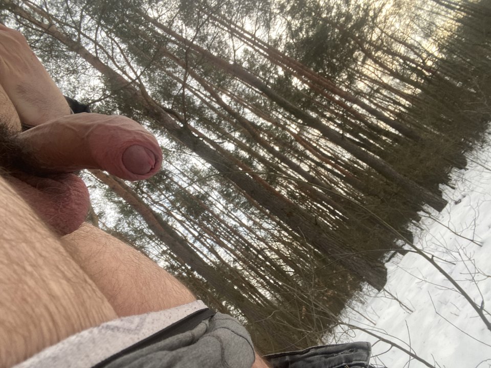 IMG_6289.jpeg - Ogier944