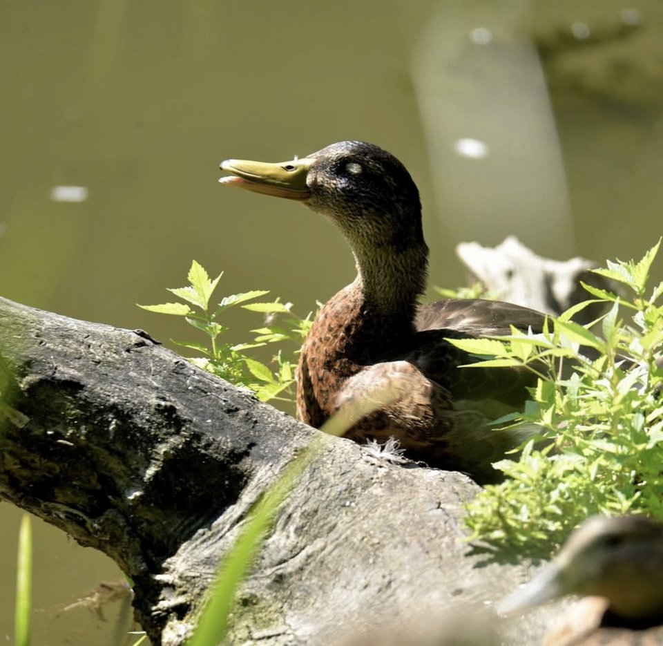 1000029425.jpg - TakijaCT