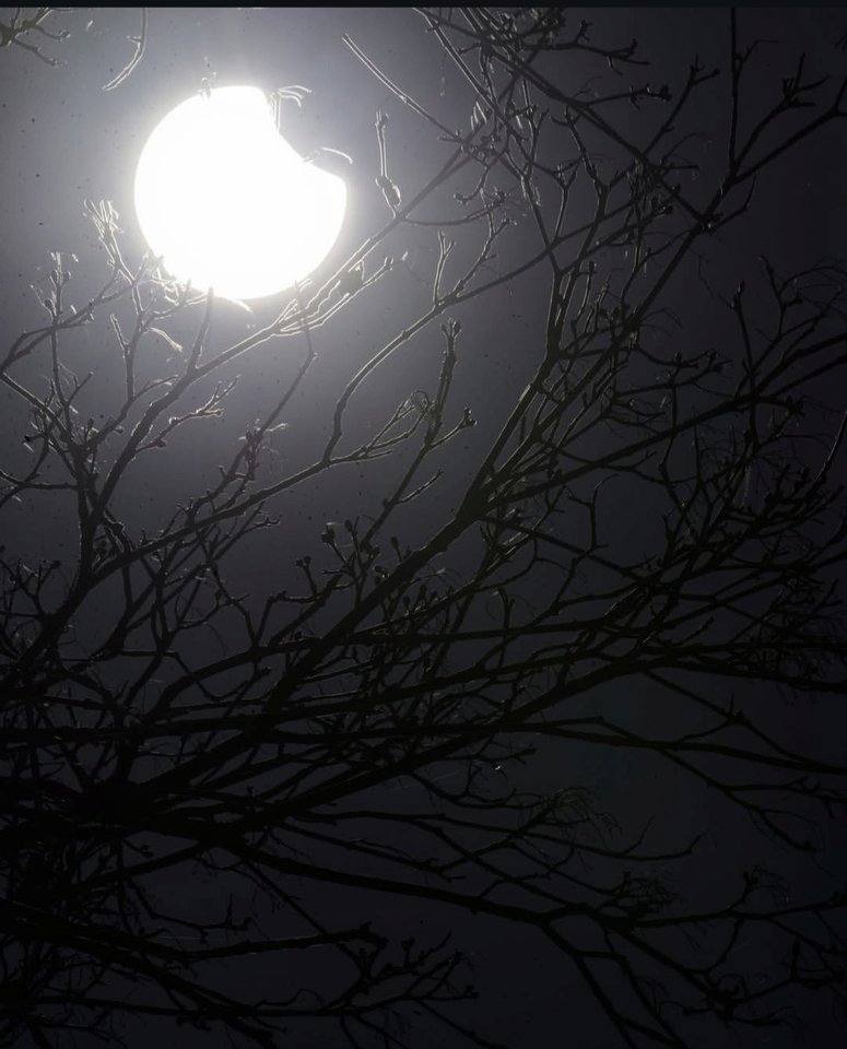 1000029417.jpg - TakijaCT