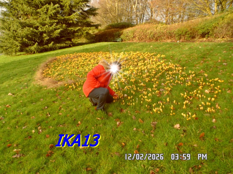 SAM_2164.JPG - ika13