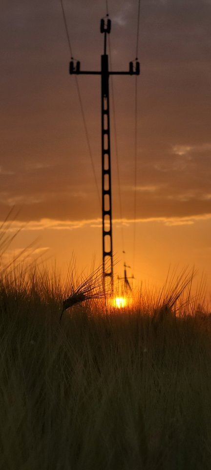 20240530_050620.jpg - Allice11778