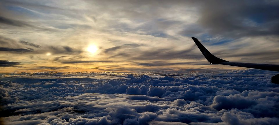 20240614_204725.jpg - Allice11778