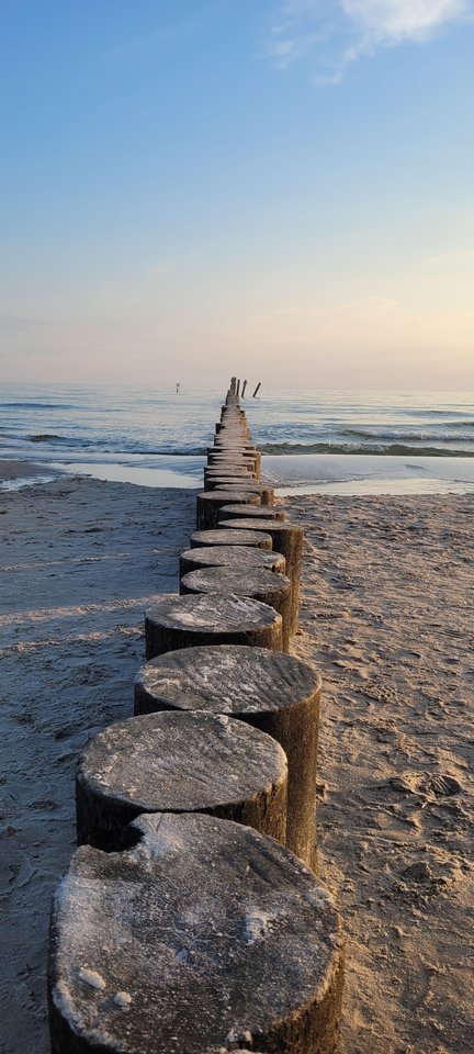 20240531_052154.jpg - Allice11778